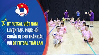 ĐT Futsal Việt Nam luyện tập, phục hồi, chuẩn bị cho trận đấu với ĐT Futsal Thái Lan