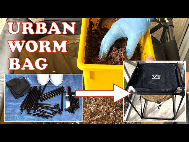 Setup, 1st Feeding & Worms Added: Urban Worm Bag Complete Guide