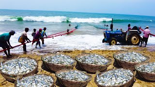 Amazing Seine Fishing Using Tractors | Amazing Big Catch Fishing Skill