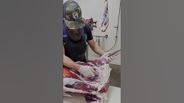Removing the deer shoulder 🦌🔪  #shorts #deer #venison #butcher