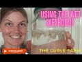 **How to Harvest your Vegetable seeds for next season - The Wet Method explained**