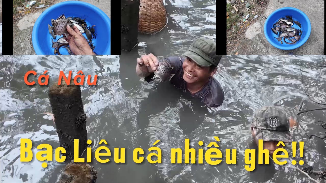 Bắt cá Bạc Liêu, không ngờ sông Bạc Liêu cá nhiều ghê, phần 2/2