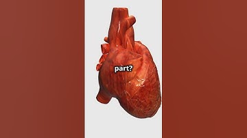 Microgravity: How Space Affects the Human Body