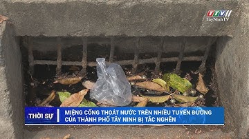 Miệng cống thoát nước trên nhiều tuyến đường của thành phố Tây Ninh bị tắc nghẽn | TayNinhTV