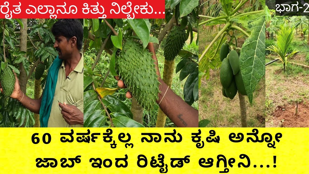 ಒಂದು ಎಕರೆ 30ಗುಂಟೆಯಲ್ಲಿ ಶ್ರೀಗಂಧ ಸೇರಿ ಸಮಗ್ರ ಕೃಷಿಯನ್ನು ಮಾಡುತ್ತಿರುವ ಹುಣಸೂರಿನ ಜಗದೀಶ್ ಎಂಬುವವರ ಮುಂದುವರೆದ..!