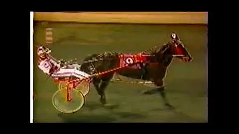 1993 Meadowlands SWINGING MELISSA Comforter Series...