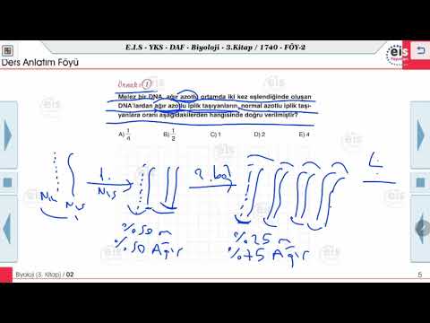 Biyoloji 3   - Genden Proteine 2 🔬