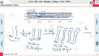 Biyoloji 3   - Genden Proteine 2 🔬