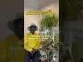 DID YOU KNOW……#artist #bipolarsunshine #interview