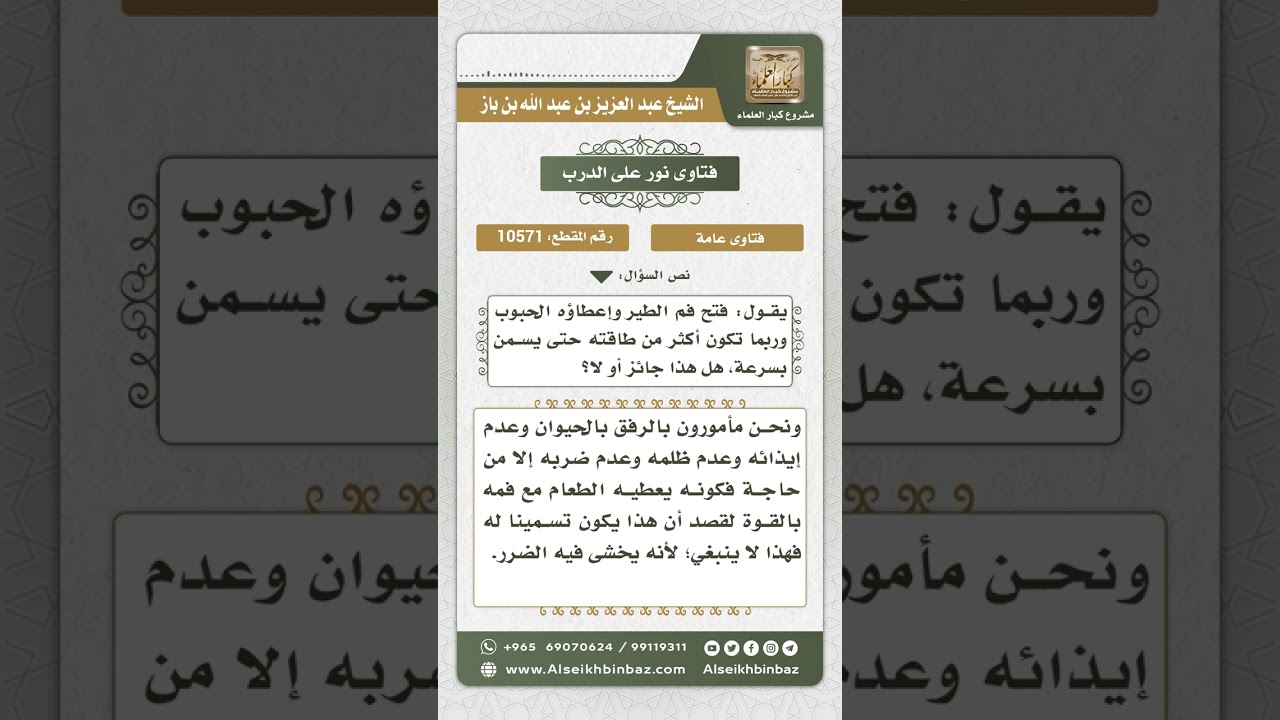 10571 - حكم إجبار الحيوان على أكل أكثر من طاقته لأجل تسمينه -  نور على الدرب