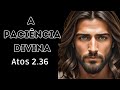 A Paciência Divina: Reflexões sobre Atos 2.36 | Diário De Deus