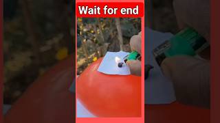 Snake Tablet Experiment