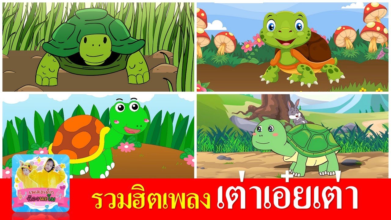 เพลงเต่าเอ๋ยเต่า เต่ามันมี4ขา | รวมฮิตเพลงเต่า 4 เวอร์ชั่น | เรียนรู้เรื่องสัตว์ | ฝึกร้องเพลงเต่า