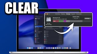 How To Clear Your System Data On A Mac (Easy 2025 Guide)