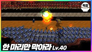 오와 열 유즈맵【한 마리만 막아라 Lv.40】