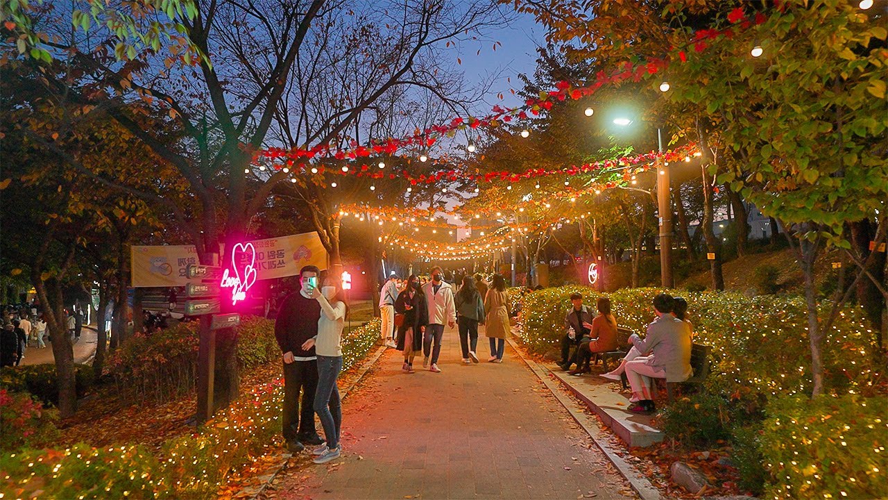 autumn korea  2022 New  Evening Walk Seoul Jamsil Seokchon Lake Park Fall in Love Autumn Leaves Korea 4K HDR