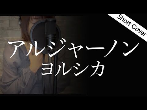 【歌詞】ヨルシカ『アルジャーノン』『夕暮れに、手をつなぐ』主題歌cover by ゆるり【歌詞字幕付き】