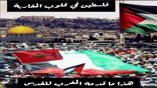 فلسطين في قلوب المغاربة وبالدليل هذا ما فعله المغرب من أجل القدس .شاهد قبل الحذف