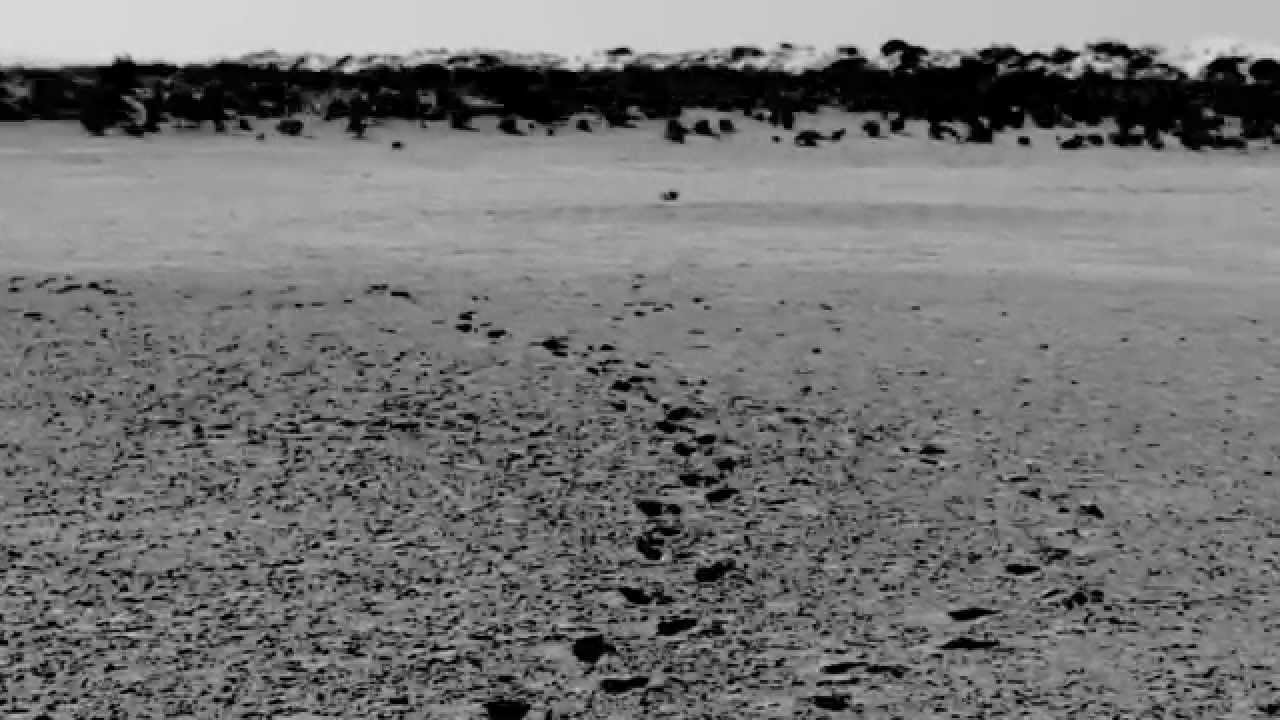 Burntfield - Let It Die Away (Lyric Video)