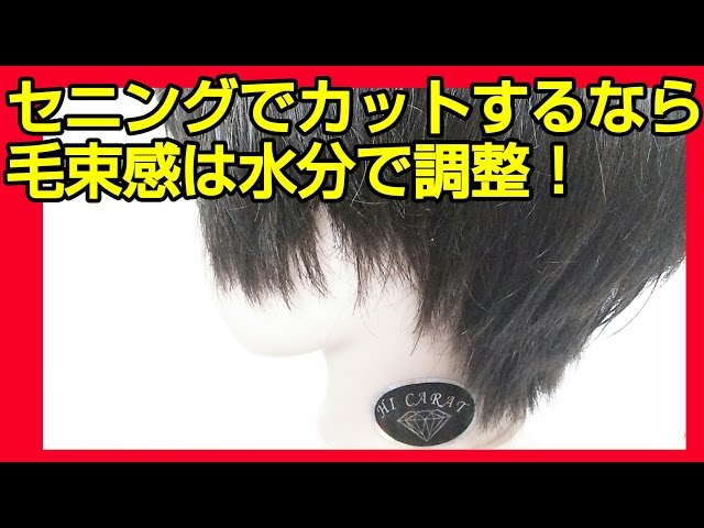 毛束感を作る為のセニング 水分量 テクスチャー カット講座 Youtube