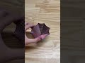 Spider Web Fidget Toy
