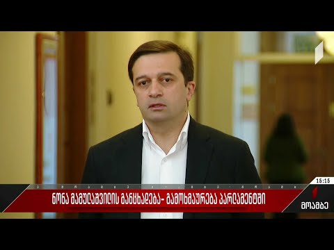 ნონა მამულაშვილის განცხადება - გამოხმაურება პარლამენტში
