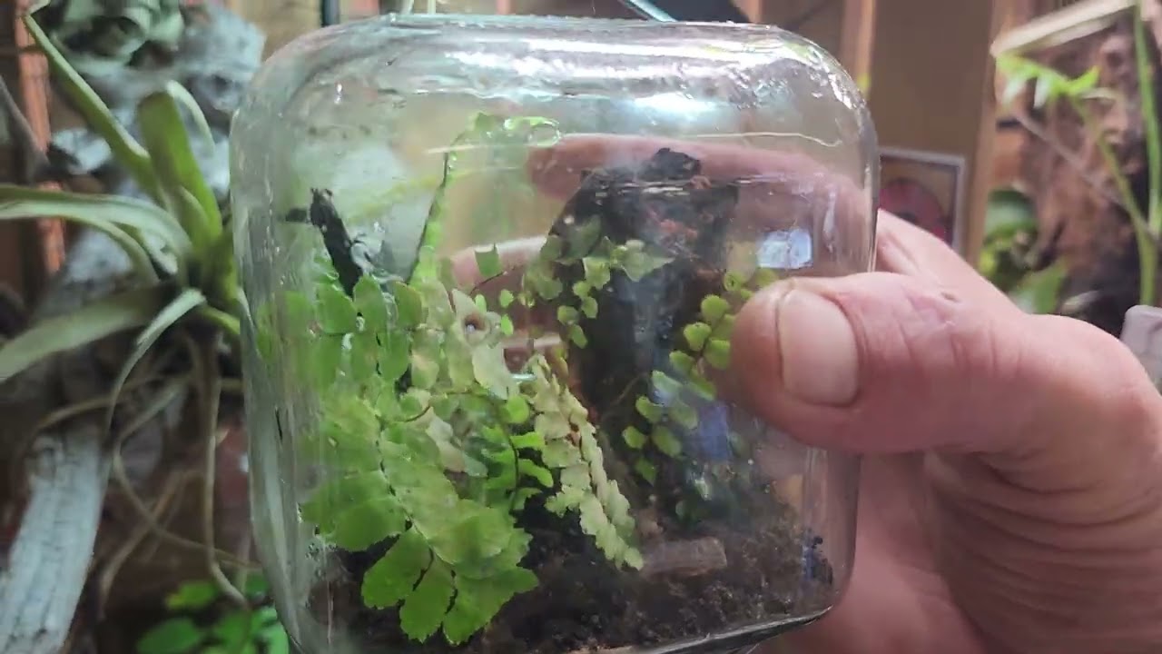 Bio cube jar created by carl fish.Shed