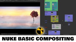 NUKE TUTORIAL :- Nuke Basic Compositing  |  Beginner Tutorial