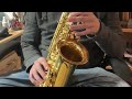 Wellerman Sax Cover