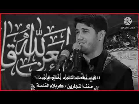 يل نويت زيارتك محمد الجنامي ستوري