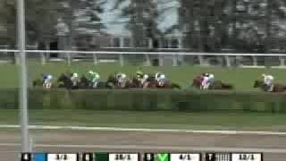 2008 E. P. Taylor Stakes