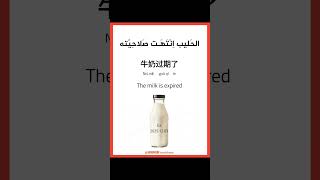 Arabic Verbs #arabic #chinese #education #fyp #explore #learnarabic #learnchinese #languagelearning
