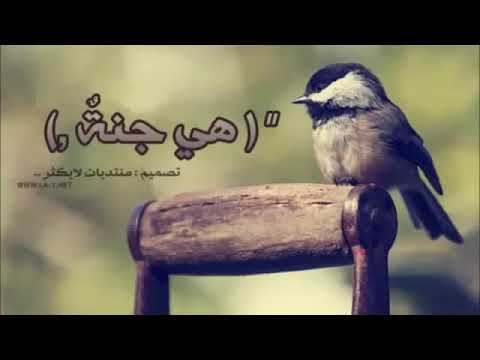هي جنه طابت وطاب نعيمها حمود الخضر