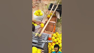 How Fruit Becomes Perfectly Sized Before Reaching Stores #FruitSecrets #shorts #trending