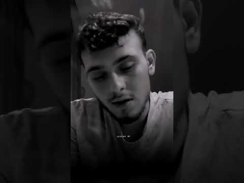 يا فشلتي بصوت الشامي 