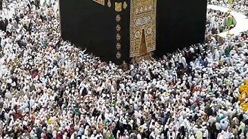 Surah AL-MAUN  سورة الماعون | #youtube #viral #relaxing @naturescall8230