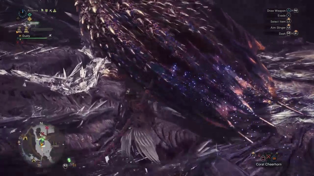 Divine Slasher speed run*