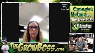 Boss Mandi check in S1 E13- time to review the flowering garden