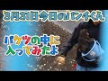 【最新3月31日（火）】今日のパンチくんをお届けします2026.3.31 市川市動植物園 #punch #monkey #がんばれパンチ 