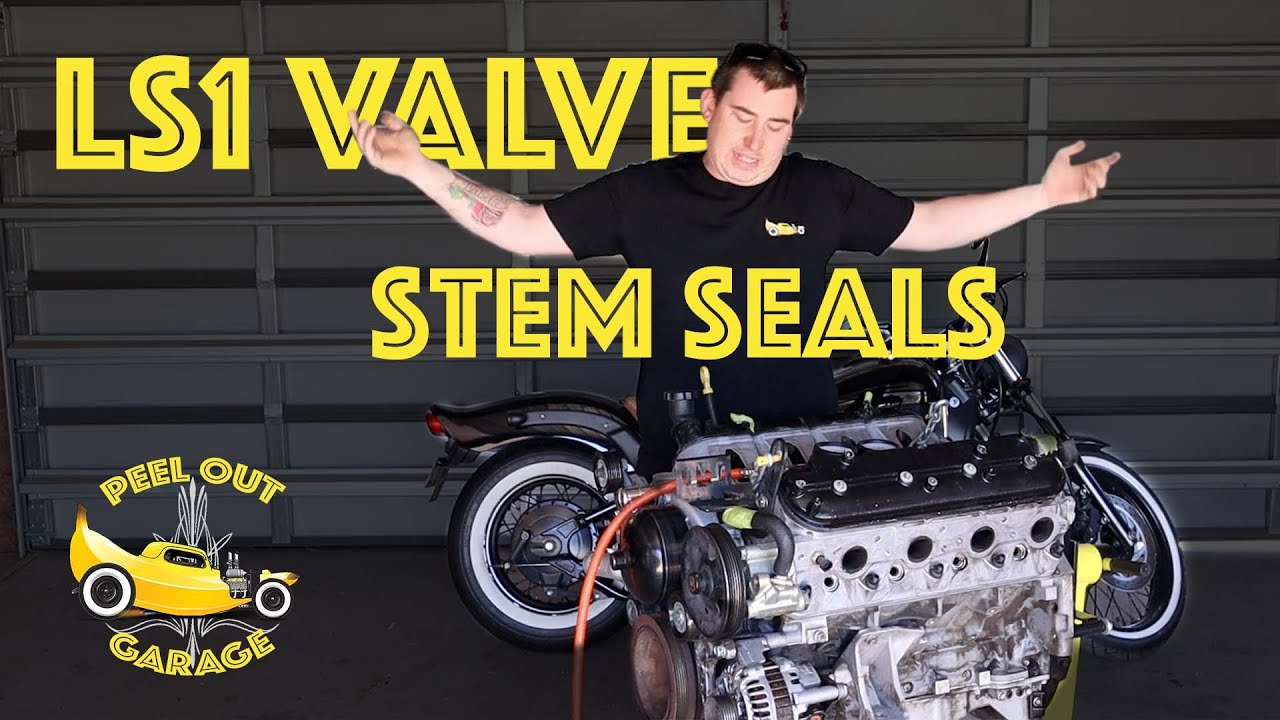 LS1 Valve Stem Seals VT VX VY VZ SS Commodore. YouTube