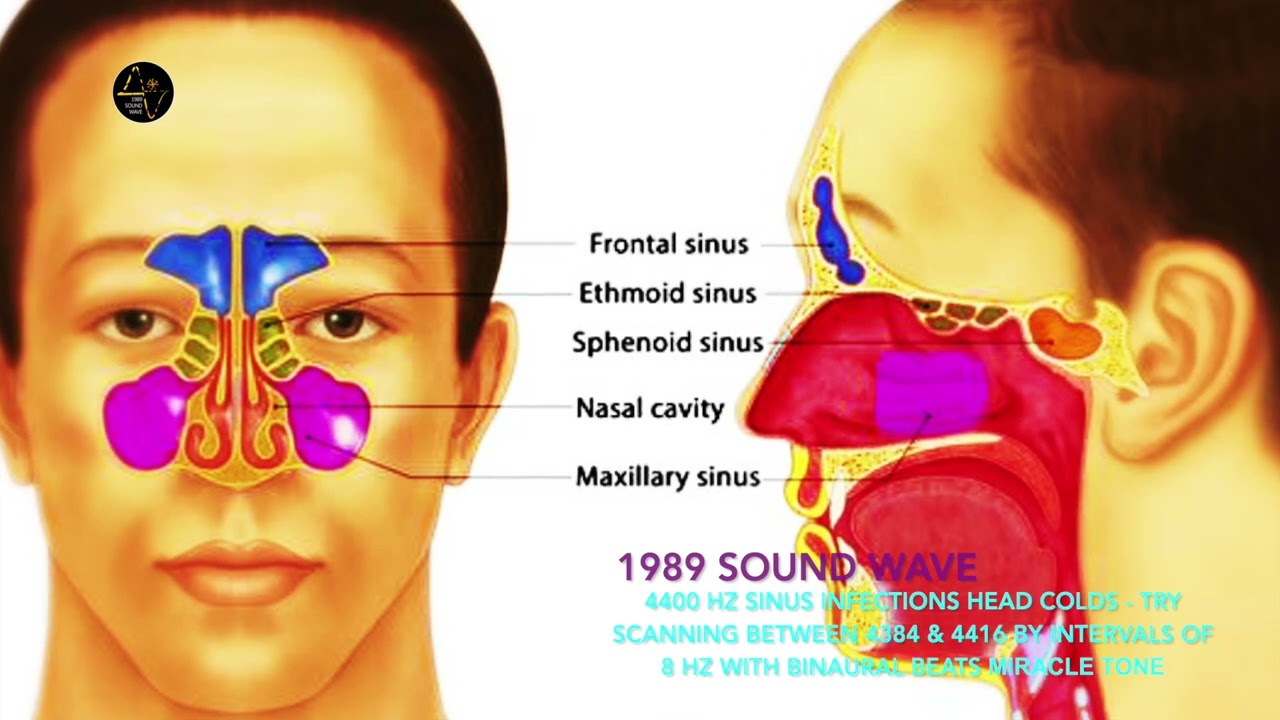 4400 HZ SINUS INFECTIONS HEAD COLDS TRY SCANNING BETWEEN 4384 4416 BY 4400-hz-sinus-infections-head-colds-try-scanning-between-4384-4416-by