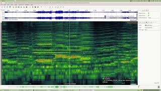 Sonic Visualiser: Layer exportieren und segmentieren