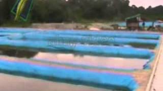 Produk Perak Ternakan Alam Lintah Al Huda