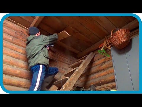 ЭТО ЛЕЖАЛО В СРУБЕ 70 ЛЕТ! УБРАЛ ЛЕСТНИЦУ И ЗАКРЫЛ ЧЕРДАК!