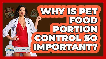 Why Is Pet Food Portion Control So Important? - Ask A Pet Vet