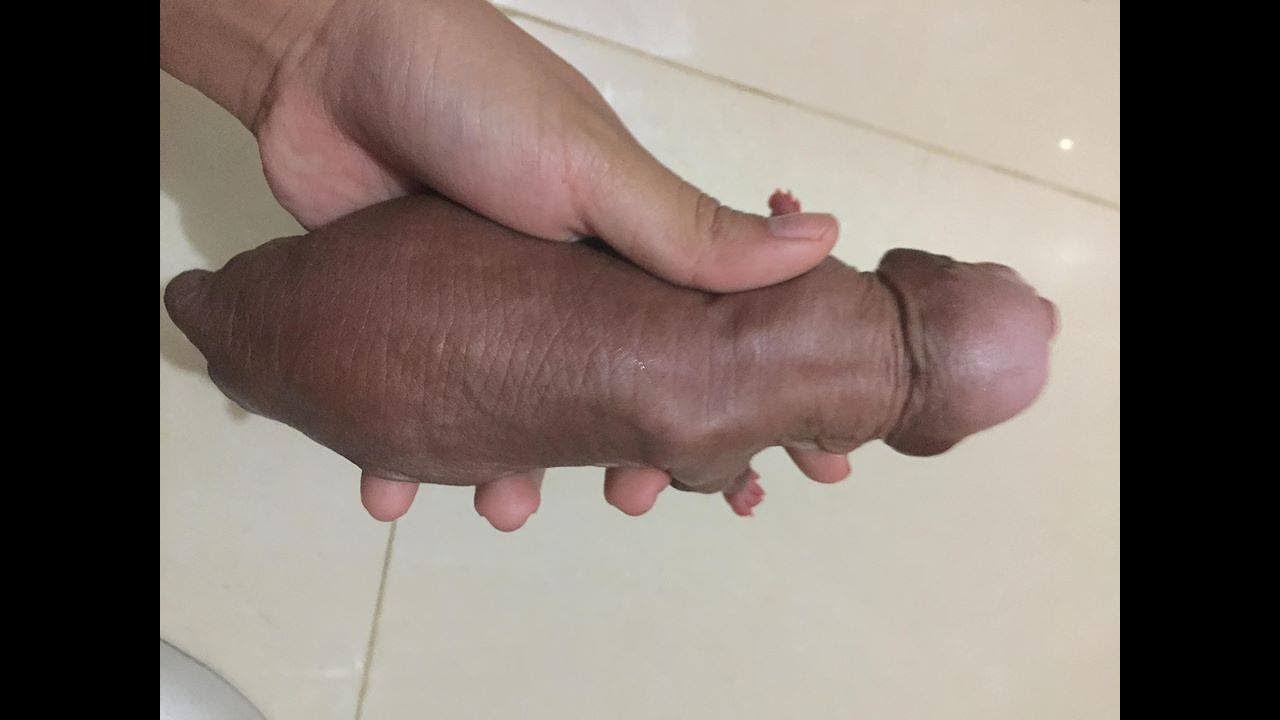 Hairless puppy that looks like a dick