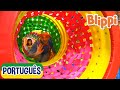 Blippi Português Visita um Playground Coberto - aprender com blippi | Vídeos Educativos