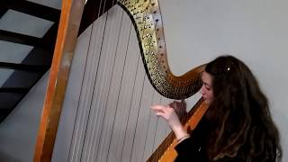 Chopin Nocturne in E flat Major opus 9 no. 2 Pedal Harp Cover (Sanne BhattiLosekoot)