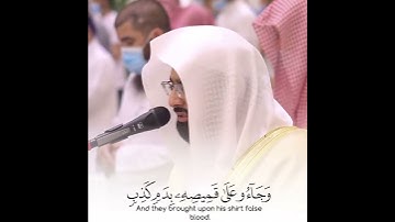 الشيخ/ناصر القطامي-سورة يوسف آيه رقم 18