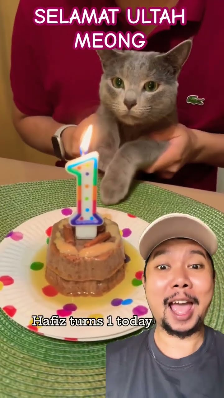 SELAMAT ULTAH KE 1 MEONG!!!?#shortsfeed #shorts